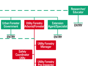 Career Path Chart