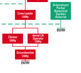 International Society of Arboriculture > Careers > Careers in Arboriculture  > Career Paths Flowchart