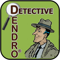 Detective Dendro®