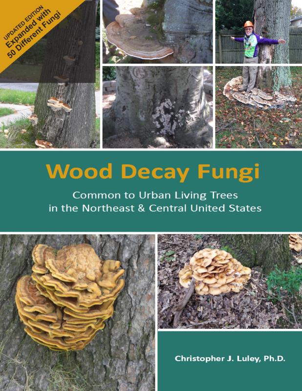 Wood Decay Fungi