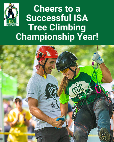 Cheers to a Successful ISA Tree Climbing Championship Year