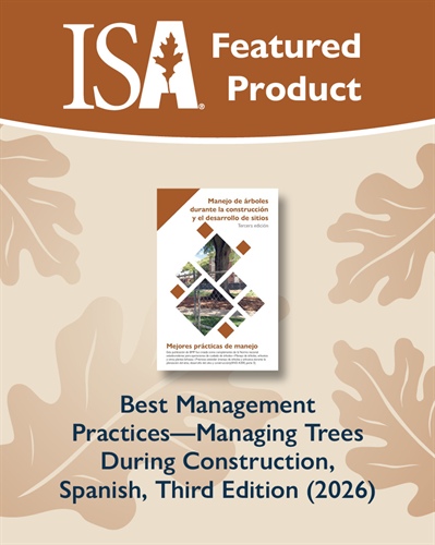 BMP—Managing Trees During Construction is Now Available in Spanish