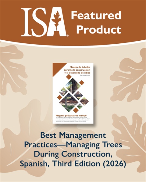 BMP—Managing Trees During Construction is Now Available in Spanish