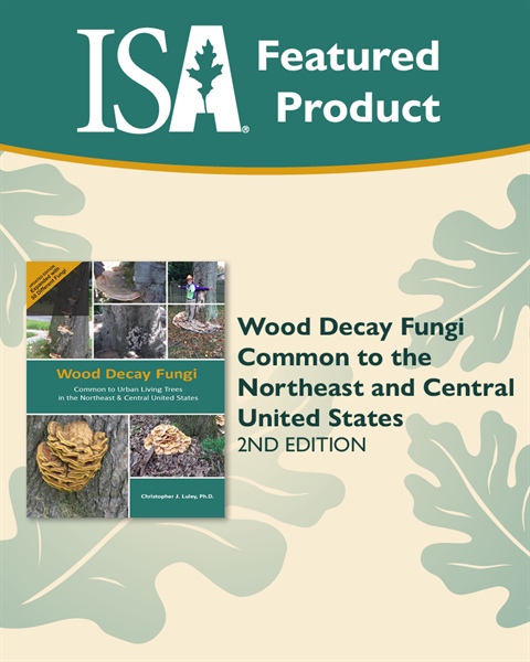 Wood Decay Fungi Common to the Northeast and Central United States, 2nd Edition is Now Available