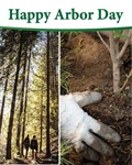 ISA Celebrates Arbor Day 2020