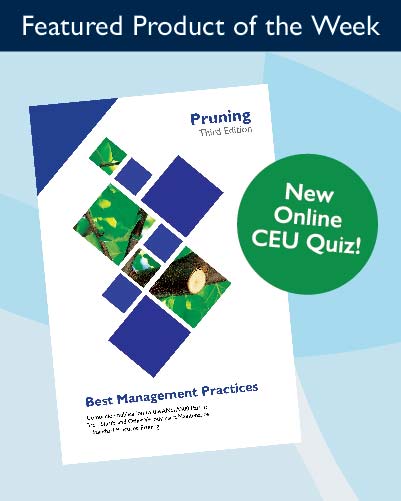 Earn CEUs and Build on Your Arboriculture Knowledge with the Tree Pruning BMP