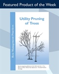 Improve Your Pruning Skills with the BMP – Utility Pruning of Trees