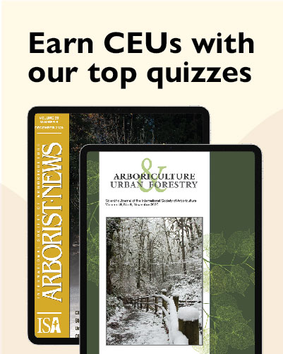 Complementary CEU Quizzes in Our Serial Publications from 2018 and 2019