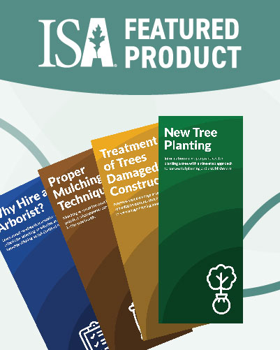 Updated TreesAreGood® Brochures Now Available