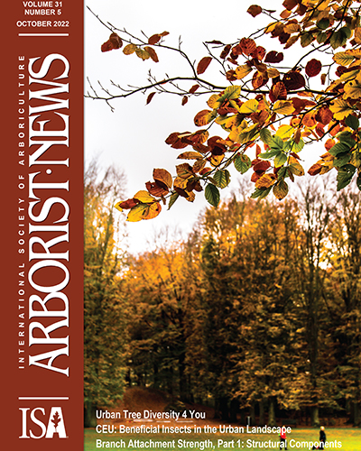 October 2022 Issue of Arborist News Now Online