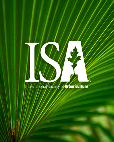 ISA Board of Directors Election Notice to Membership