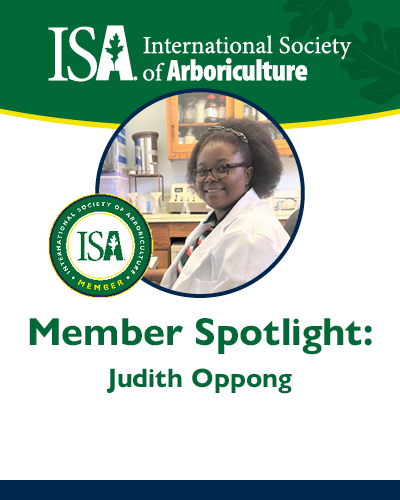 ISA Member Profile March 2023