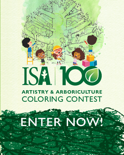 Artistry & Arboriculture Coloring Contest