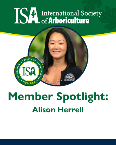 ISA Member Profile May 2023