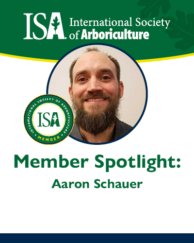 ISA Member Profile June 2023