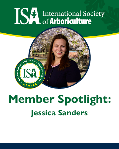 ISA Member Profile July 2023