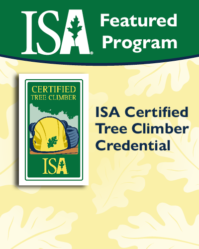 We’re Thrilled to (Re)Introduce the ISA Certified Tree Climber Credential