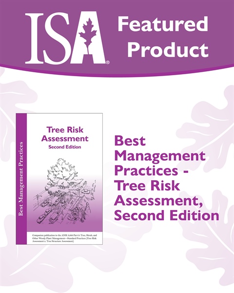 Learn How to Better Assess Tree Risk with this BMP