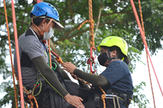 Aerial rescue training