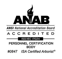 ANSI Accredited Standards