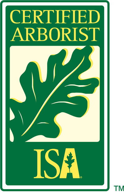 Image result for certified arborist