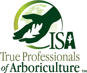 ISA True Professionals